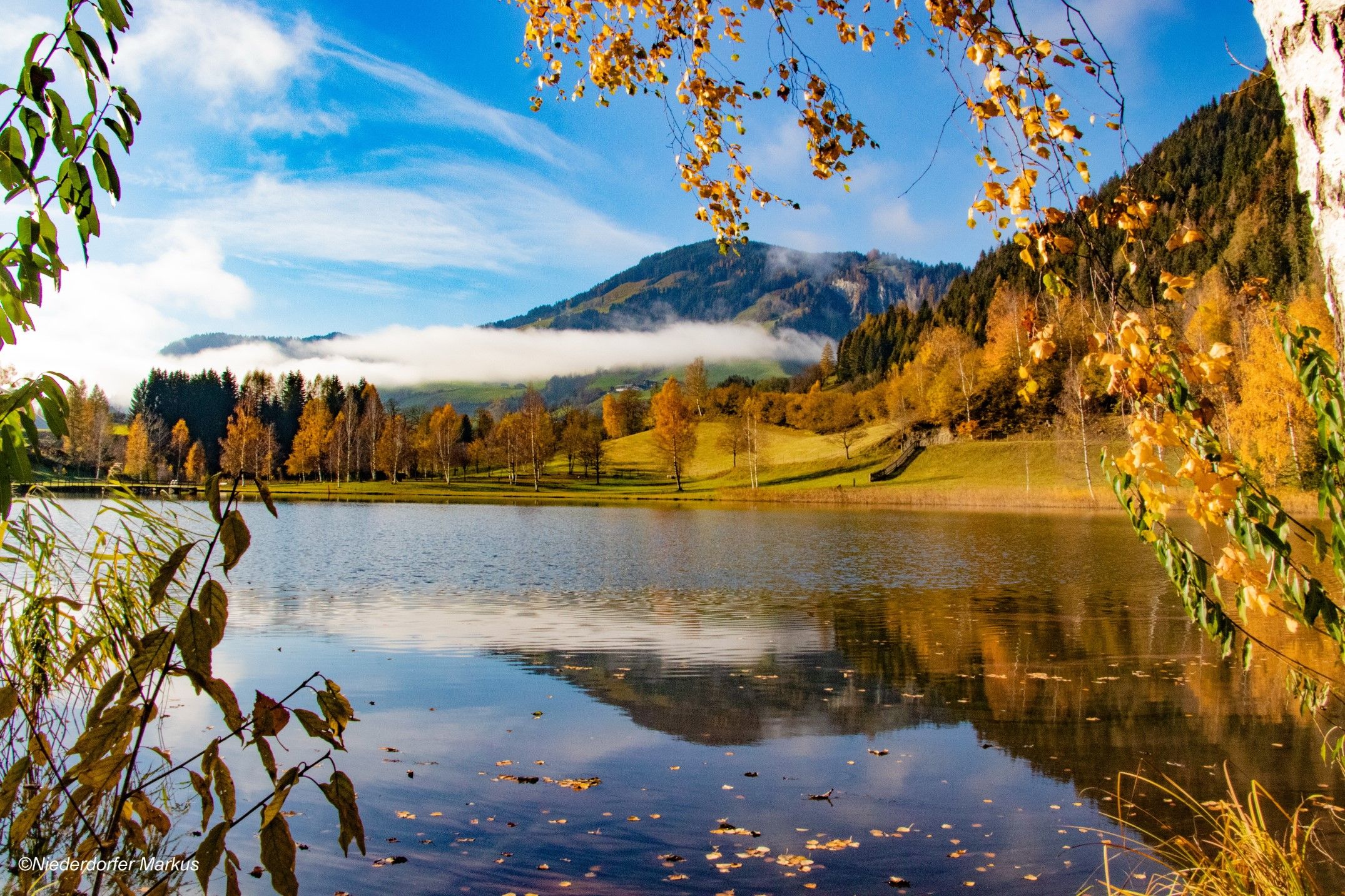 See im Herbst